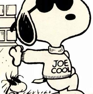 Meet your Posher, Steve